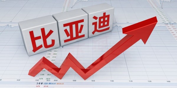 比亞迪刀片電池已供應特斯拉 ：車輛最快8月底下線